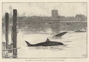 Geçen Salı Thames
